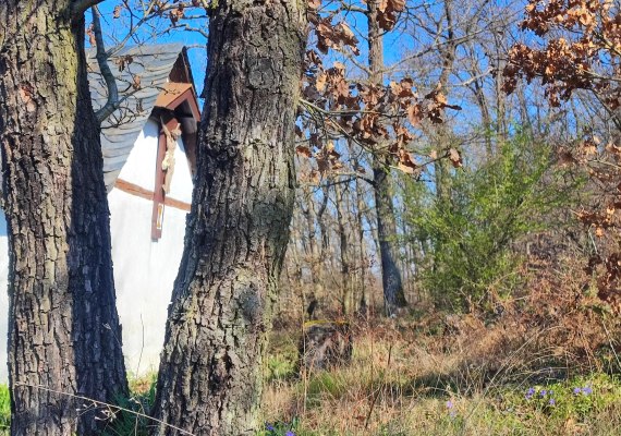 Kreuz | © Ulrike Dallmann