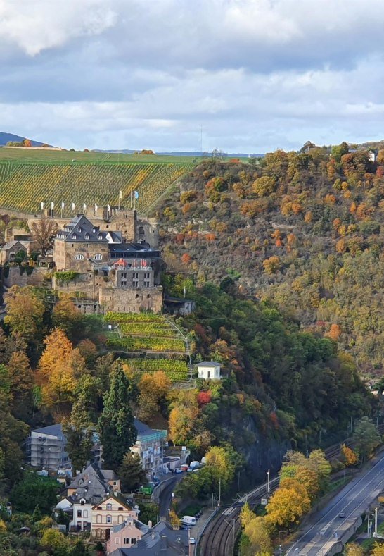Aussicht zur Burg Rheinfels | &copy; T. Biersch