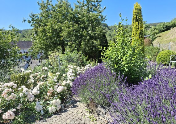 Pfarrgarten | © RNT, Simone Bohr Pfarrgarten | © RNT, Simone Bohr