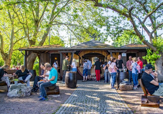 Weinfässer Hattenheim | © Weinprobierstand Hattenheim Weinfässer Hattenheim | © Weinprobierstand Hattenheim