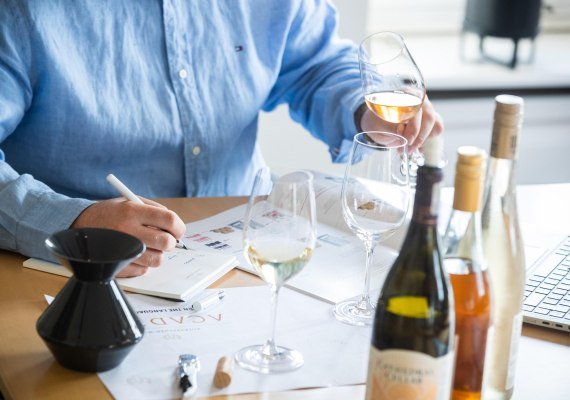 Rotk&auml;ppchen Mumm Academy | &copy; Rotk&auml;ppchen Mumm Academy