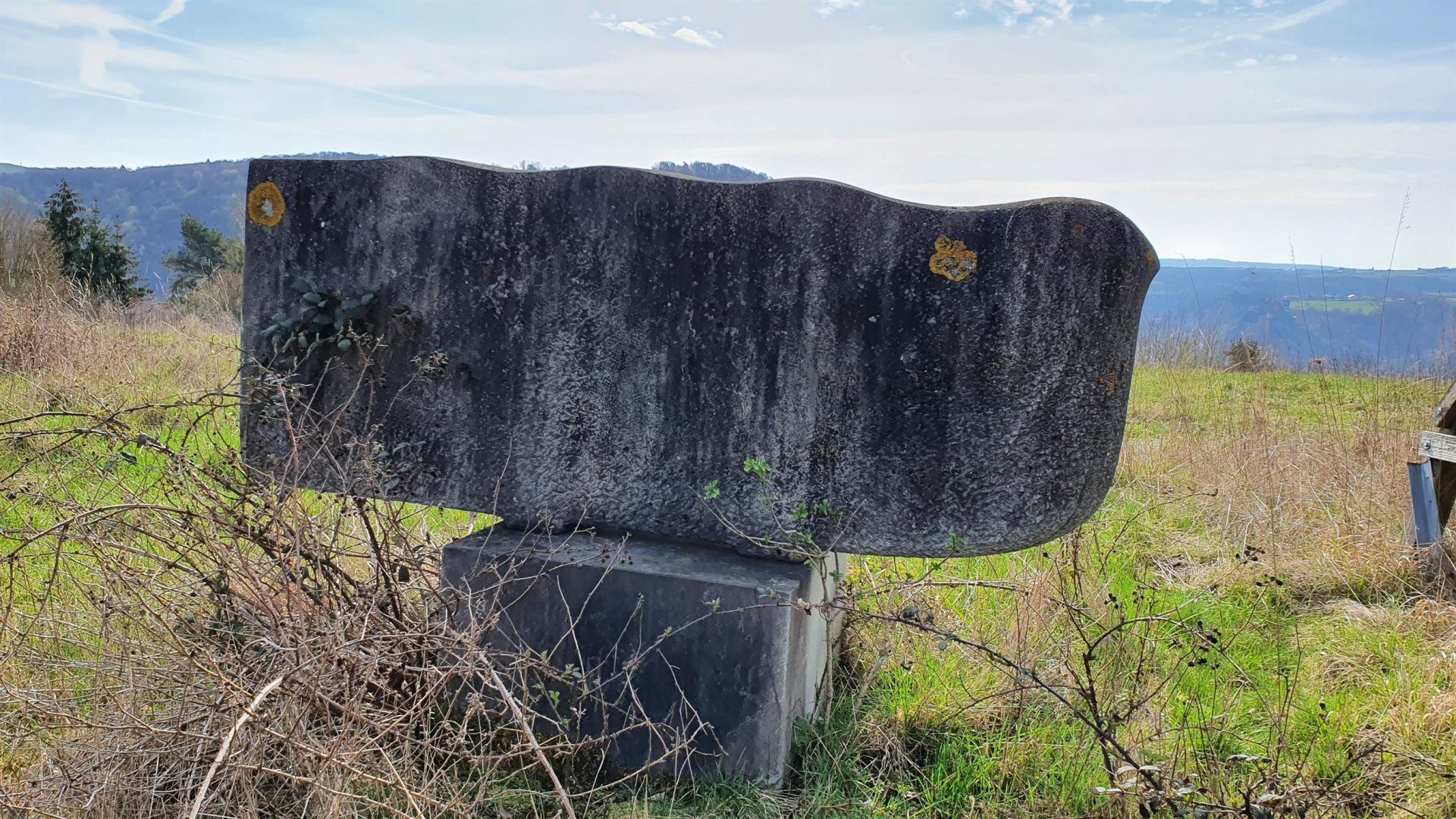 "Vogel" | © T. Biersch "Vogel" | © T. Biersch