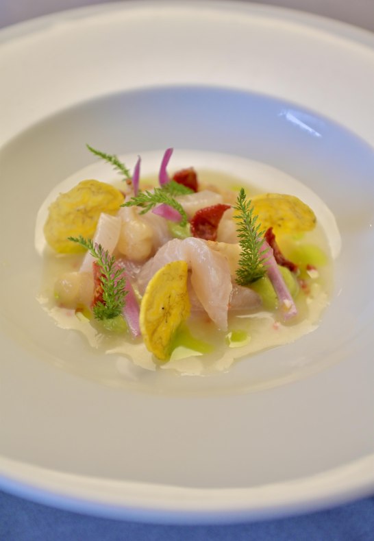 Baiken by Schr&ouml;er 4 | &copy; Dirk Schr&ouml;er