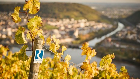 Rheinsteig Logo | &copy; Marco Rothbrust, Romantischer Rhein Tourismus GmbH