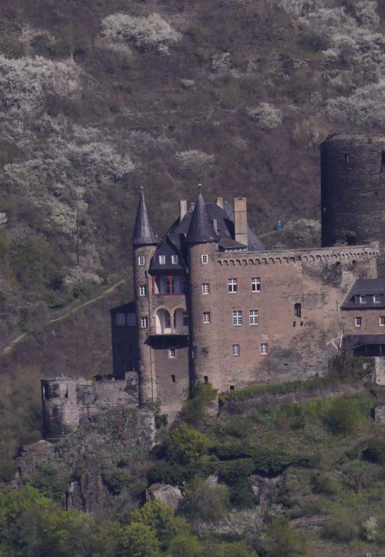 Burg Katz | &copy; Bernhard Vogt