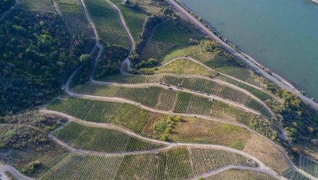 Fetz4 | &copy; Fetz &ndash; Weingut & Destillerie