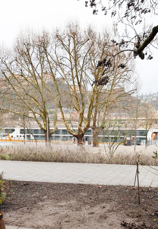 Aussicht vom Hauseingang | &copy; fotozauberkoblenz.de