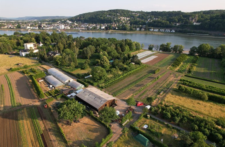 1 | © Katringer Grünzeug eG 1 | © Katringer Grünzeug eG