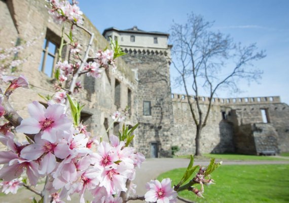 Burgruine | &copy; 90 Grad Photography/Hilger & Schneider GbR