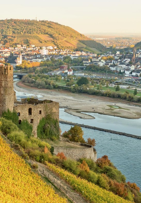 Burgruine Ehrenfels | &copy; iStock