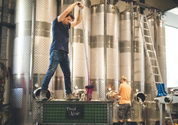 Weingut Trenz | &copy; Weingut Trenz_Filmagentur Rheingau