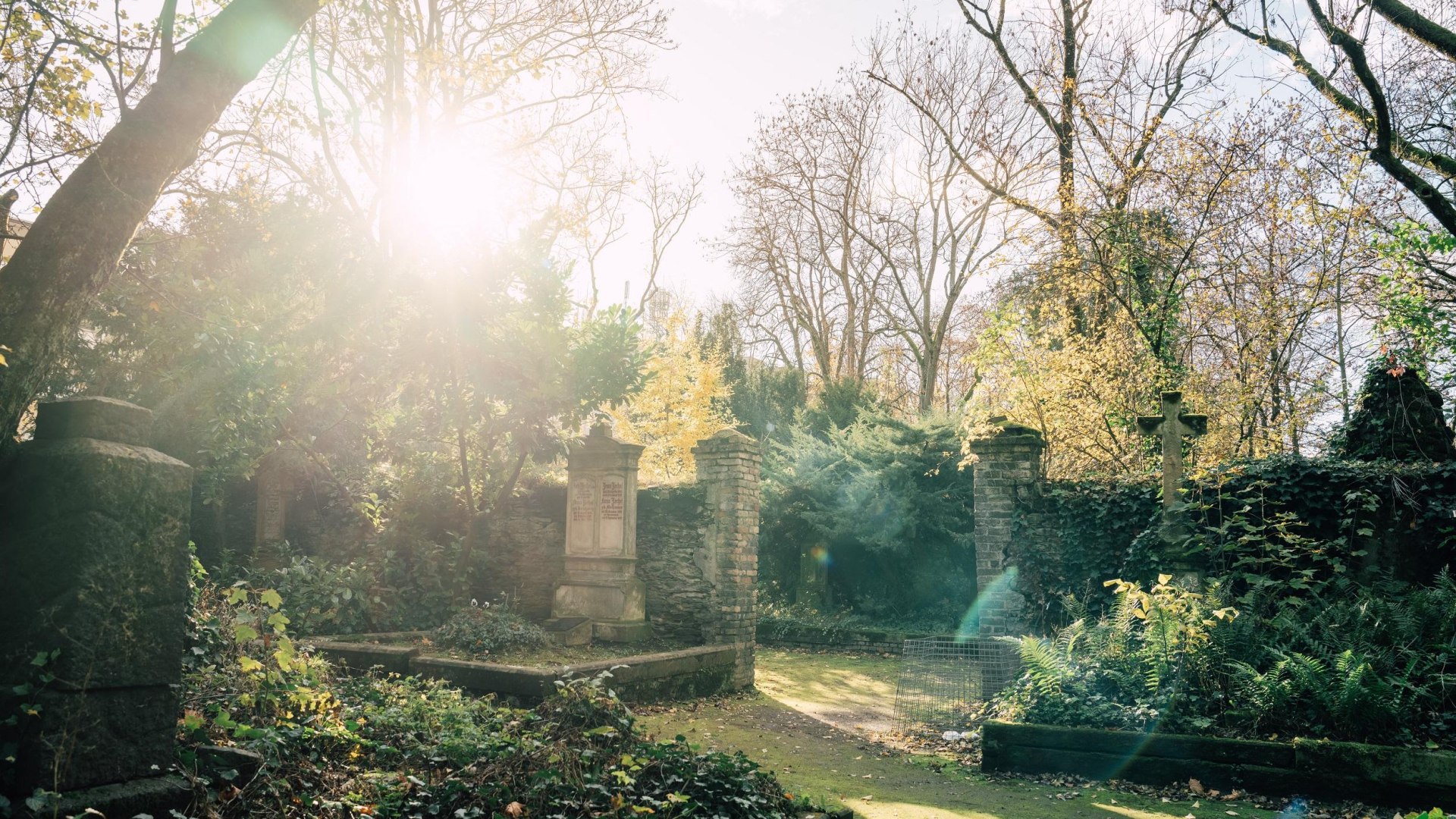 Alter Friedhof | &copy; Zimpfer_Phptpgraphy
