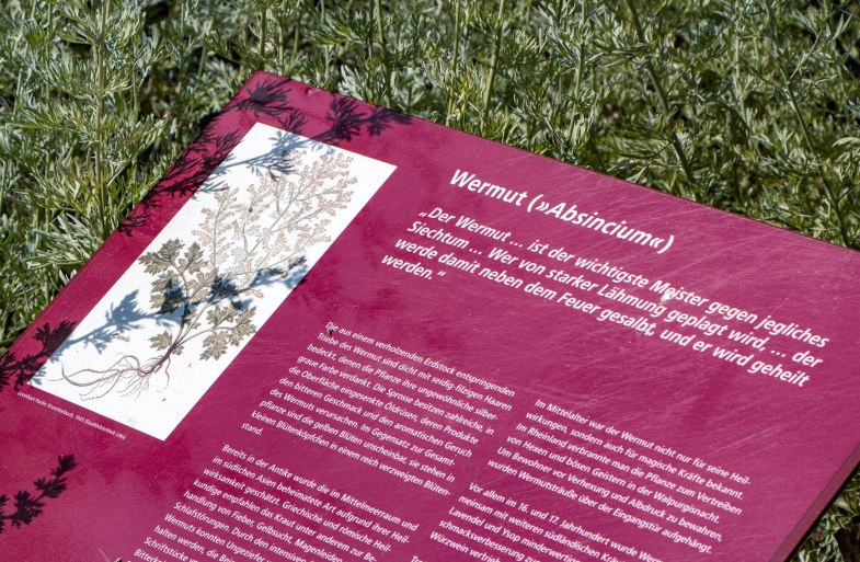 Hildegarten am Msuem am Strom | © Rheinhessen-Touristik Hildegarten am Msuem am Strom | © Rheinhessen-Touristik