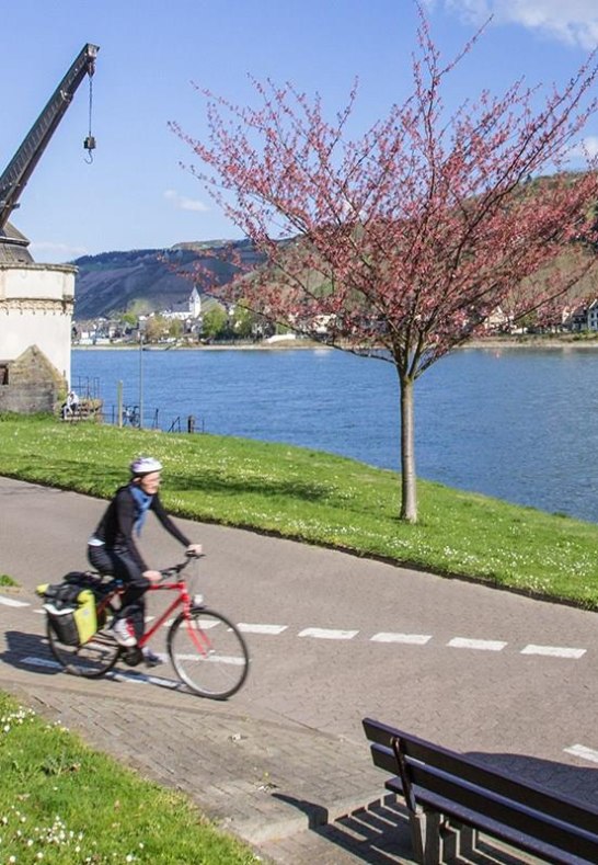 Radfahrer auf dem Rhein Radweg | &copy; Andernach.net