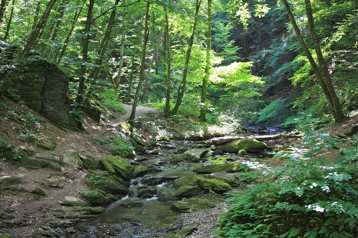 In the Ehrbachklamm | © Stefan Rees In the Ehrbachklamm | © Stefan Rees