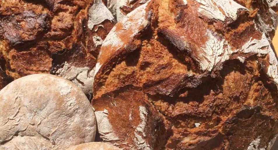 Brot | © Laquai Brot | © Laquai