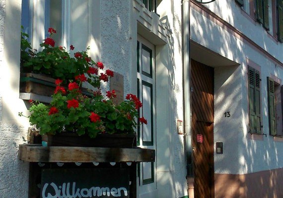 Weing&uuml;ter Wegeler Eingang | &copy; Weing&uuml;ter Wegeler