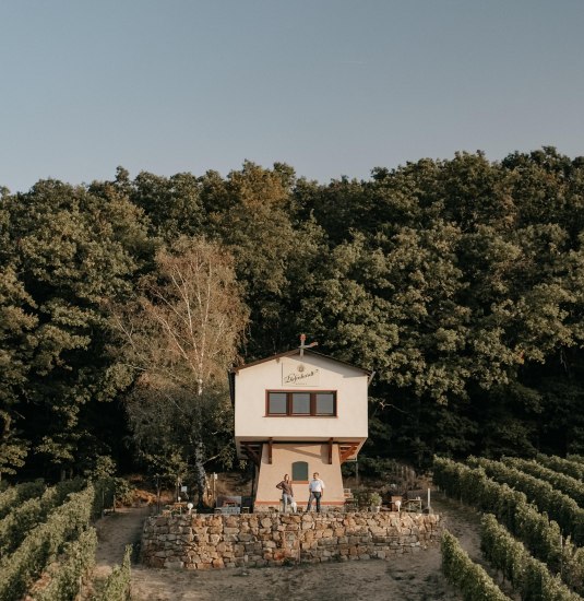 InesBarwig_WeingutDiefenhardt_VisualKey-10 | &copy; Weingut Diefenhardt