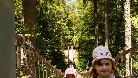 H&auml;ngebr&uuml;cke Binger Wald | &copy; Martin K&auml;mper Quelle Stadt Bingen