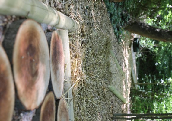 Barfußpfad 2 | © GGB Lahnstein Barfußpfad 2 | © GGB Lahnstein