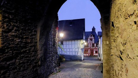 Herbst | © Tourist-Information Erlebnis Rheinbogen Herbst | © Tourist-Information Erlebnis Rheinbogen