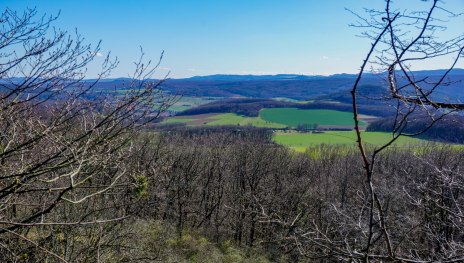 Blick vom Vulkan Scheidskopf auf die Eifelvulkane in der Ferne | &copy; Tourist-Information Remagen, Romantischer Rhein Tourismus GmbH