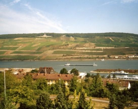 Blick | &copy; Ploechl