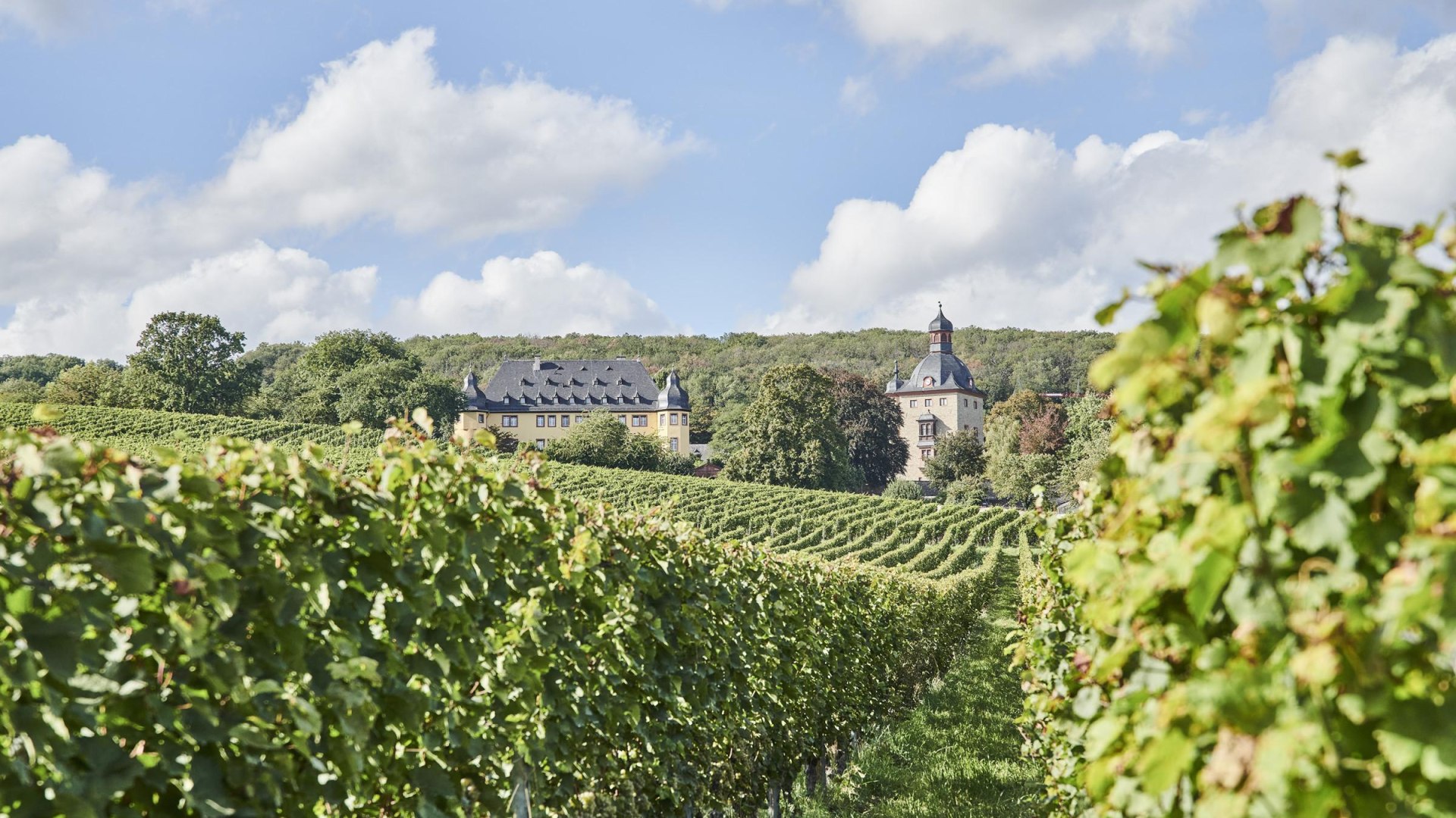 Schloss Vollrads | © Hessen Tourismus, Roman Knie Schloss Vollrads | © Hessen Tourismus, Roman Knie