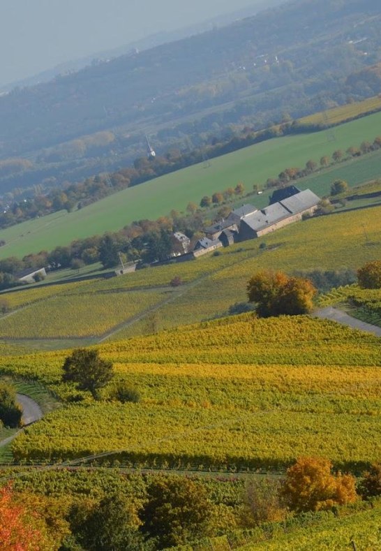 Weingut Bug+ | &copy; Weingut Bug