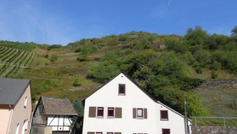 Blick auf die Weinberge vor dem Haus | &copy; Carola Lanius