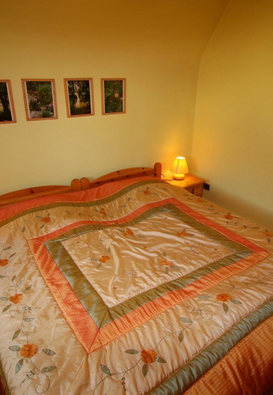 Orchidee 3 | &copy; Familie Volk