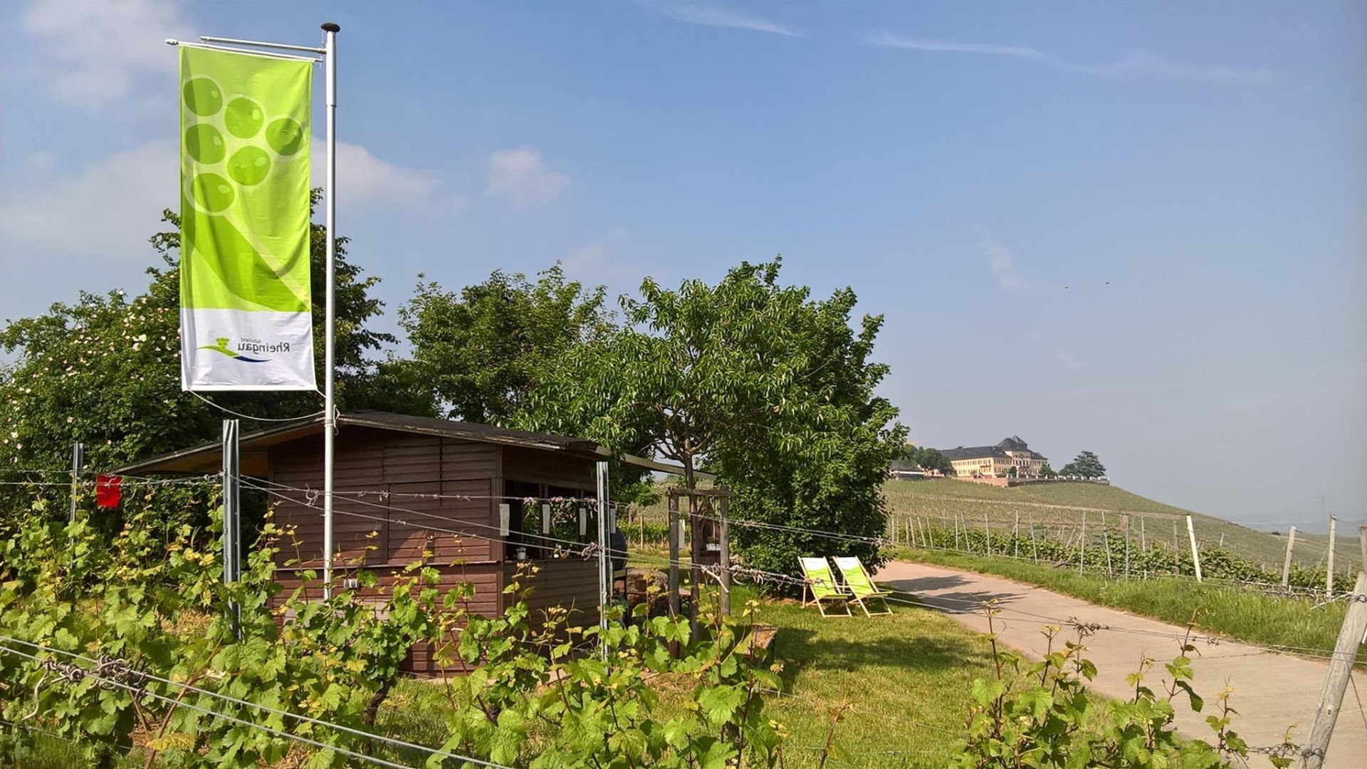 Weinprobierstand mit Blick aufs Schloss | © Weingut Abteihof St. Nicolaus Weinprobierstand mit Blick aufs Schloss | © Weingut Abteihof St. Nicolaus