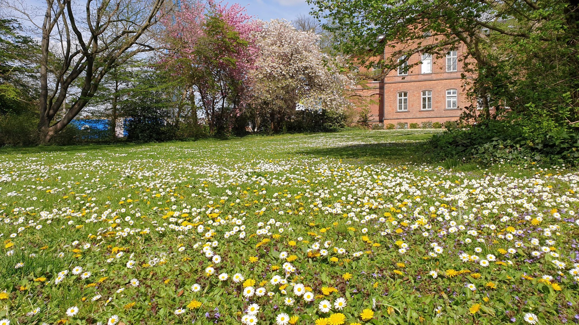 Fr&uuml;hling in der Lehranstalt | &copy; Stadt Geisenheim