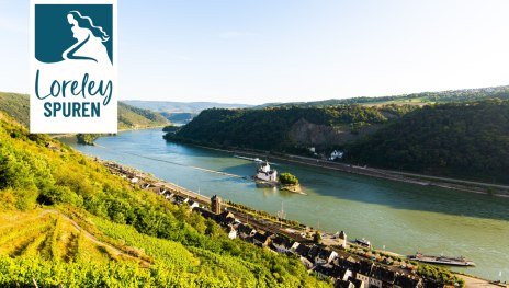 Blick auf Pfalzgrafensteing | &copy; Henry Tornow, Loreley Touristik GmbH