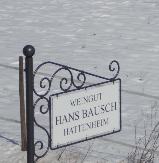 2013 M&auml;rz Winter in den Weinbergen  (2) | &copy; Weingut Hans Bausch