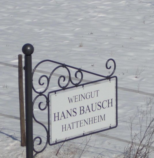 2013 M&auml;rz Winter in den Weinbergen  (2) | &copy; Weingut Hans Bausch