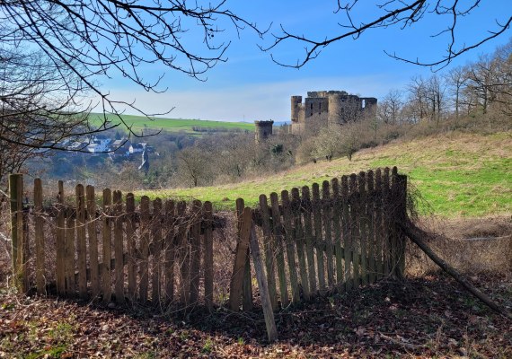 Burg Reichenberg von oben | © Jörg Sauerwein Burg Reichenberg von oben | © Jörg Sauerwein