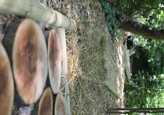 Barfußpfad 2 | © GGB Lahnstein Barfußpfad 2 | © GGB Lahnstein