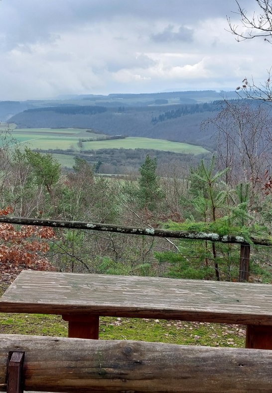 Picknickbank am Waldlehrpfad | © T. Biersch Picknickbank am Waldlehrpfad | © T. Biersch