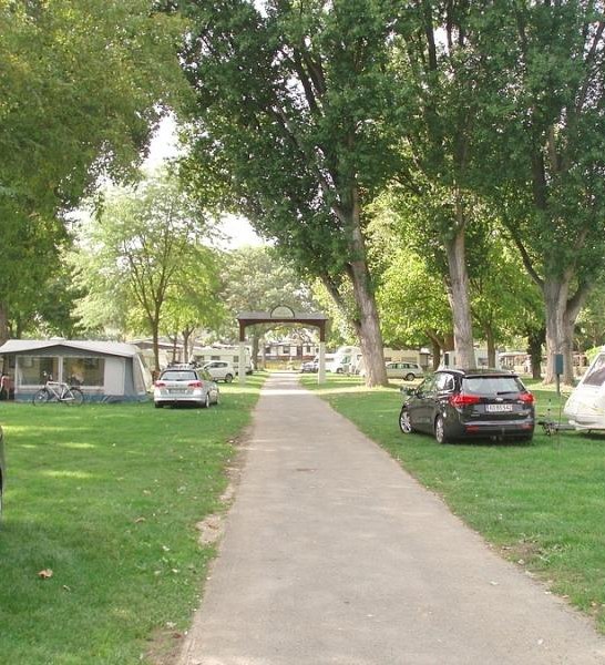 Camping R&uuml;desheim_1 | &copy; Campingplatz R&uuml;desheim am Rhein