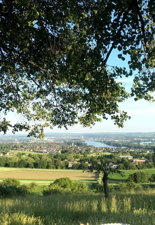 Aussicht | &copy; R&auml;mer