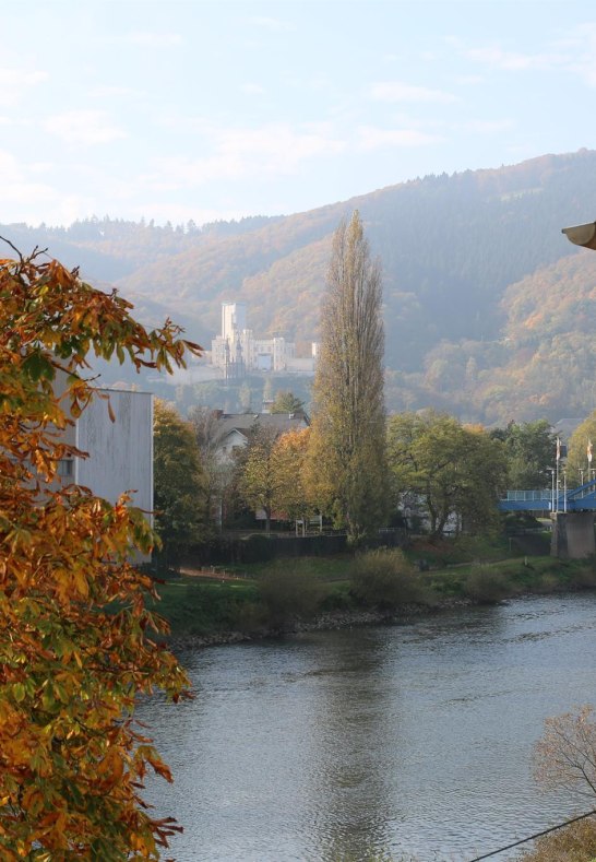 IMG_0529 | © C. Edrich