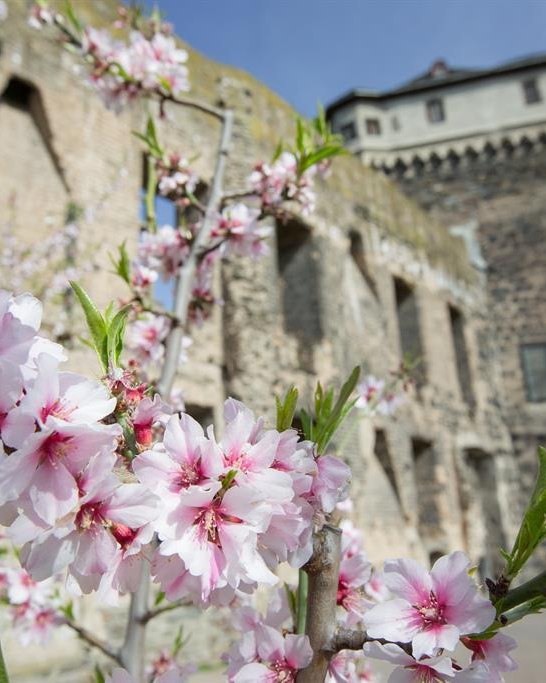 Stadtburg Andernach | &copy; 90 Grad Photography/Hilger & Schneider GbR