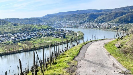 Wein | © Weingut Lorenz Wein | © Weingut Lorenz