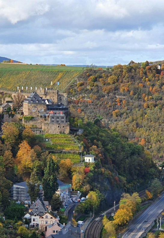 Aussicht zur Burg Rheinfels | © T. Biersch