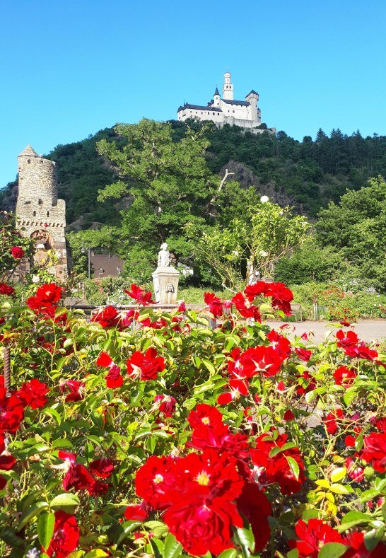 Sommer | &copy; Katharina Schattner/Romantischer Rhein Tourismus GmbH