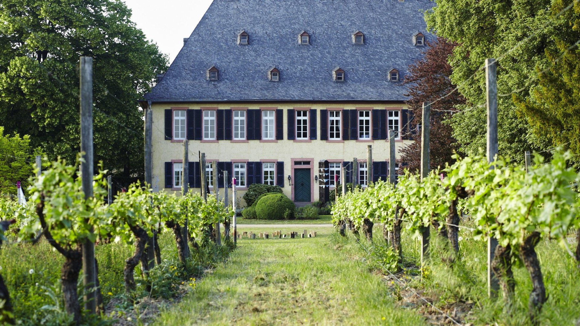 Weingut Baron Knyphausen | © Weingut Baron Knyphausen