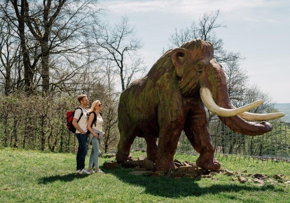 Mammut Max von Monrepos | &copy; Zimpfer_Photography