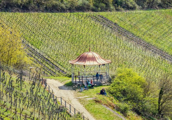Rast an der Rotweinlaube | © Marlis Steinmetz Rast an der Rotweinlaube | © Marlis Steinmetz