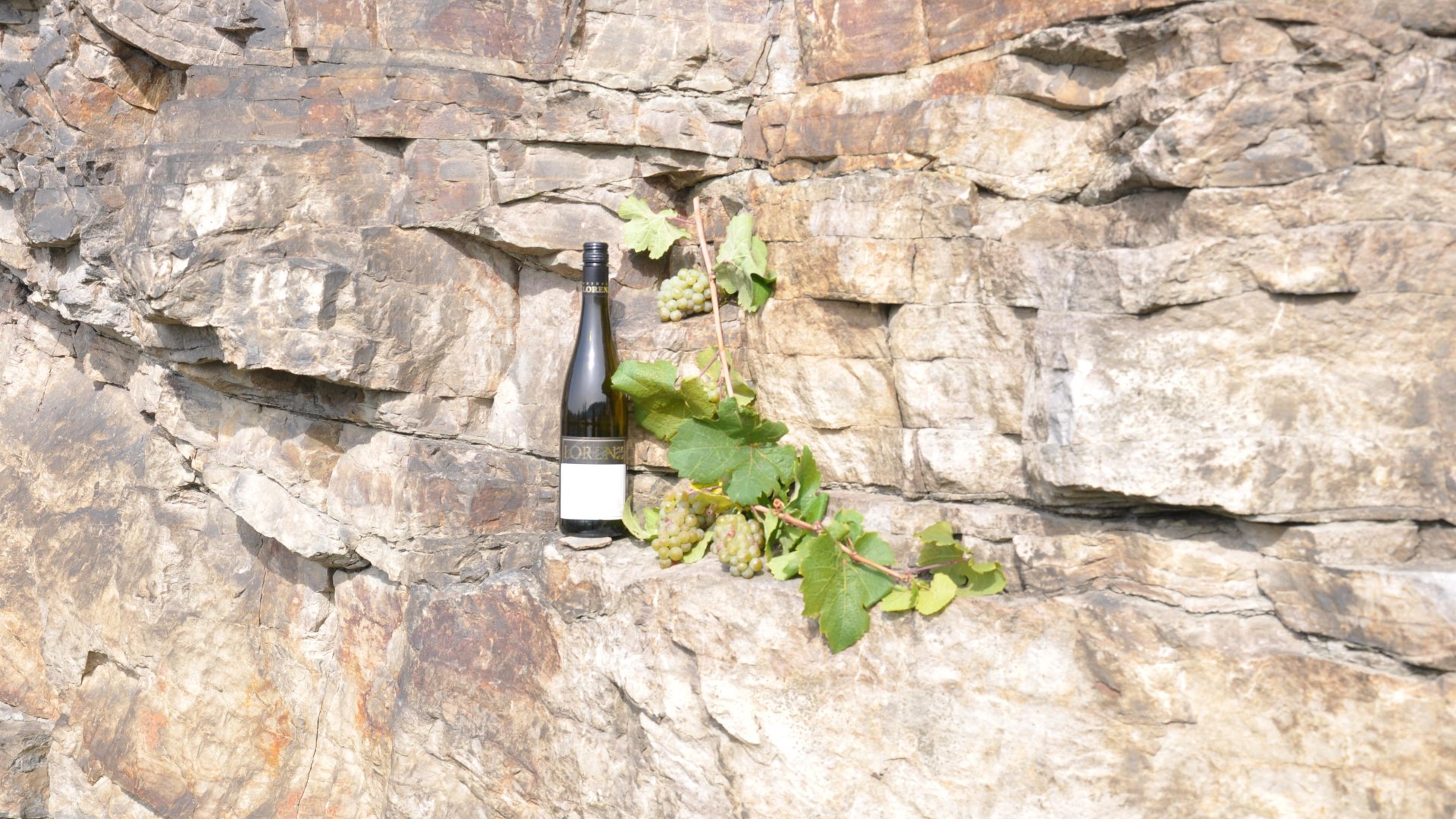 Wein | &copy; Weingut Toni Lorenz